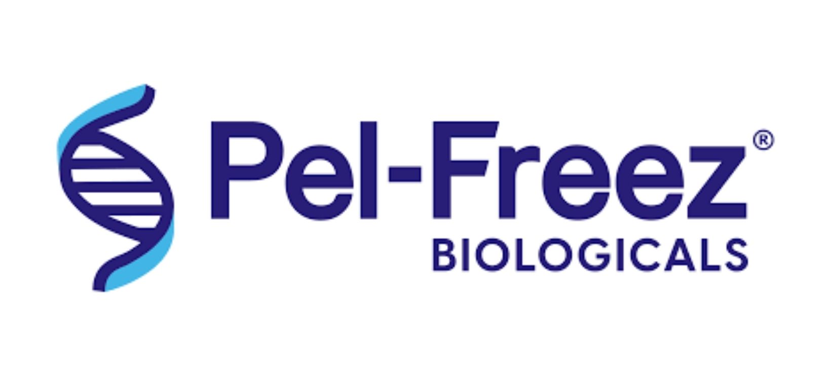 Logo 8